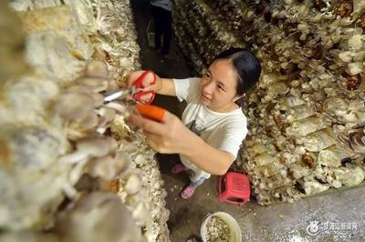 福州區縣經濟實力新格局 黑馬崛起，食用農產品零售成關鍵增長極